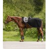 Waldhausen Exercise Rug Modern Rosé