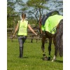 QHP Reflective Exercise Sheet