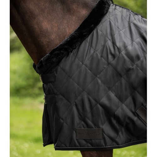 Waldhausen Showrug Exclusive
