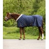Waldhausen Showrug Exclusive
