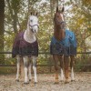 QHP FW25 Rain blanket 1200D Turnout Collection Fleece