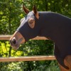 QHP Elastic neck protector with zipper