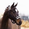 Imperial Riding FW25 Halter Jewel