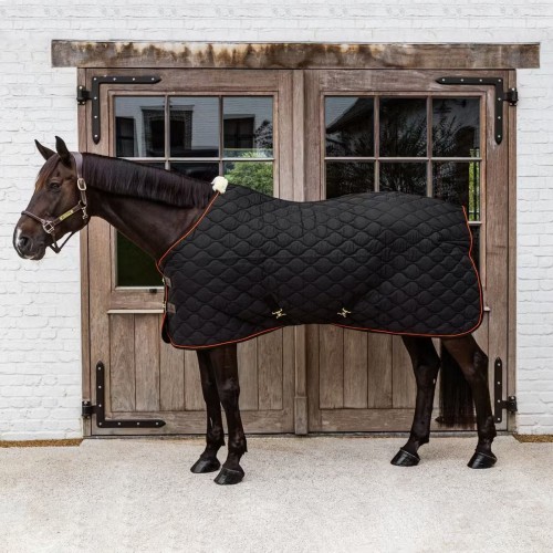 Kentucky Stable Rug Wave 160g