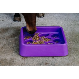 Hippo-Tonic Slow Feeder Bowl