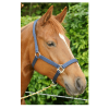 HB Nylon Halter Neoprene