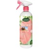 Ravene Easy Shine
