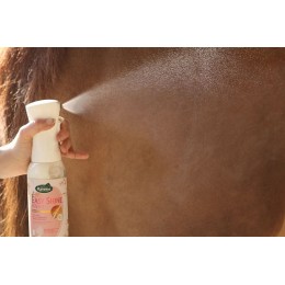 Ravene Easy Shine Intense