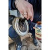 Ravene Pedicade Brush