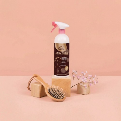 Ravene Detangling and Shine Spray Easy Shine