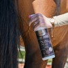 Ravene Detangling and Shine Spray Easy Shine