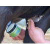 Animaderm Natjely Balm