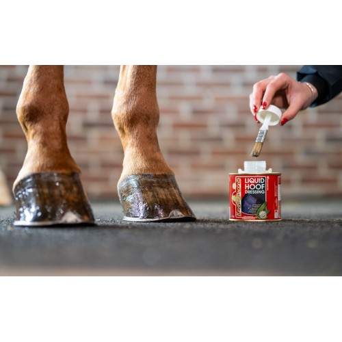 Kevin Bacon's Hoof Oil