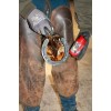 Kevin Bacon's Hoof Care for Frog