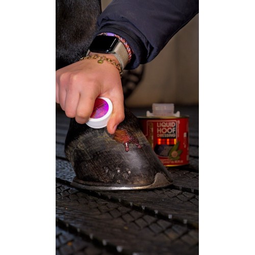 Kevin Bacon's Hoof Oil Pink Glitter