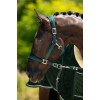 HB Showtime Velvet Halter Set