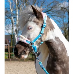 HB Halters летний Vibes Small Sizes