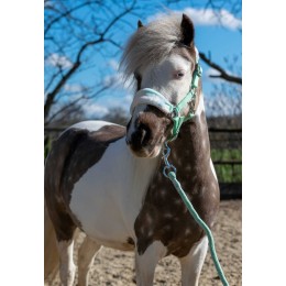 HB Halters летний Vibes Small Sizes