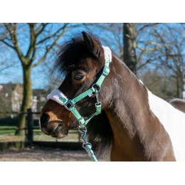 HB Halters летний Vibes Small Sizes