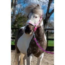 HB Halters летний Vibes Small Sizes