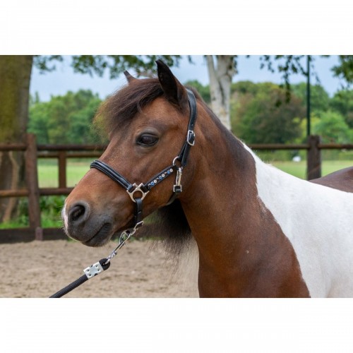 HB Showtime Leather Halter with Swarovski Rivets Little Sizes