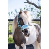 HB Nylon Cavesson Halter