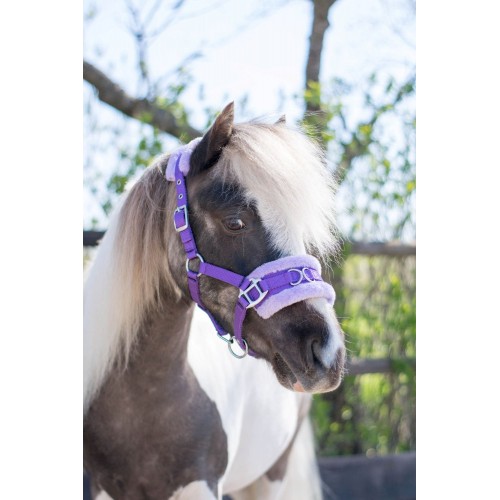 HB Nylon Caveson Halter Little Sizes