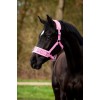 HB Nylon Cavesson Halter
