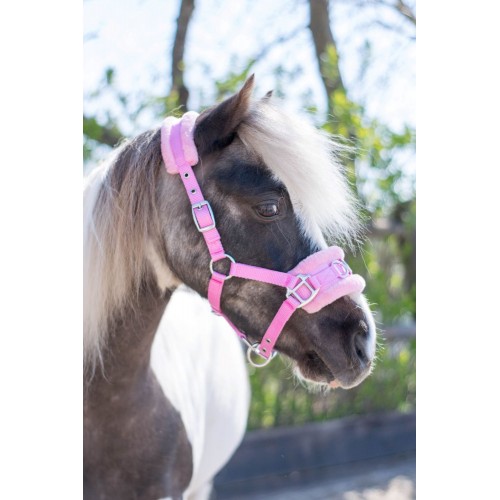 HB Nylon Cavesson Halter