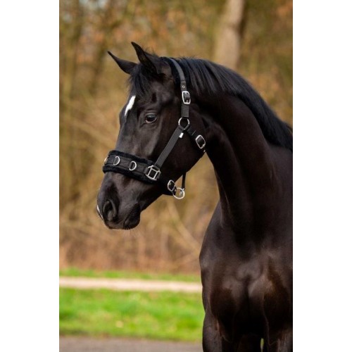 HB Nylon Cavesson Halter