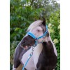 HB Nylon Halter Glitter Fleece Lined