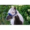 HB Nylon Halter Glitter Fleece Lined