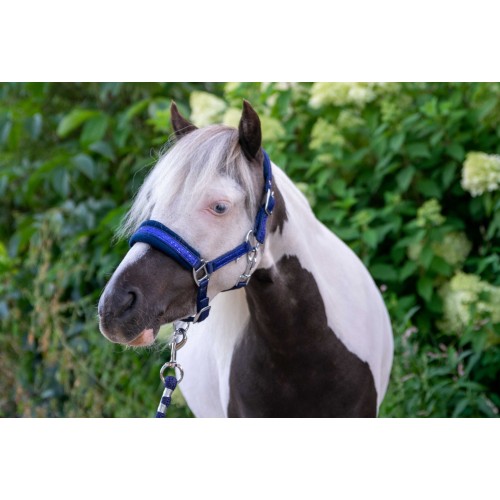HB Nylon Halter Glitter Fleece Lined