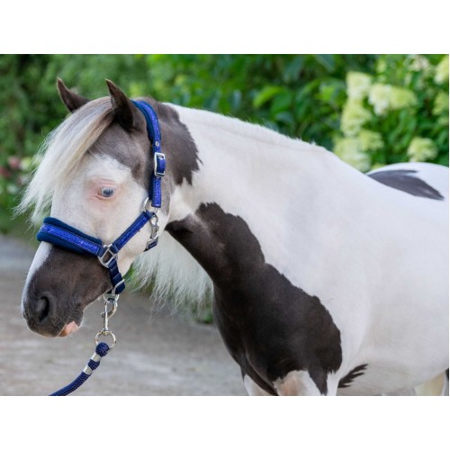 HB Nylon Halter Glitter Fleece Lined