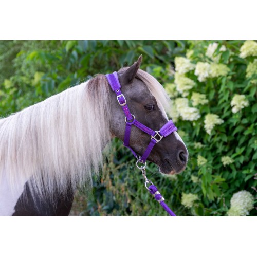 HB Nylon Halter Glitter Fleece Lined