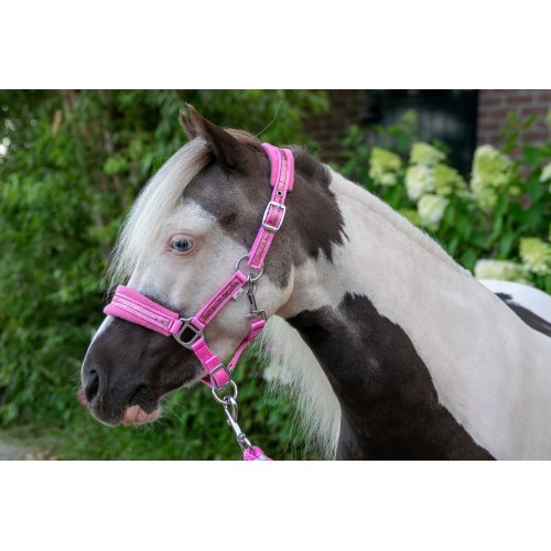HB Nylon Halter Glitter Fleece Lined