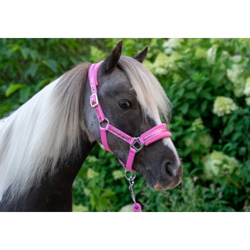 HB Nylon Halter Glitter Fleece Lined
