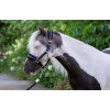 HB Nylon Halter Glitter Fleece Lined