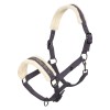 Imperial Riding FW25 Halter Jewel