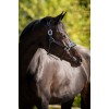 HB Showtime Leather Halter Grand Slam
