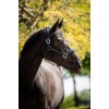 HB Showtime Leather Halter Grand Slam