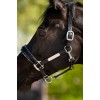 HB Showtime Leather Halter Grand Slam