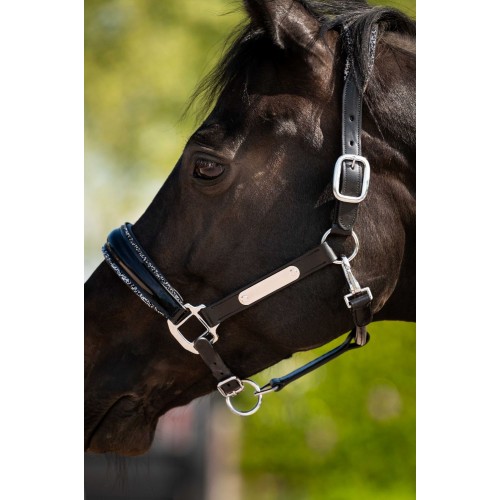 HB Showtime Leather Halter Grand Slam