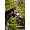 HB Showtime Leather Halter Grand Slam