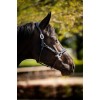 HB Showtime Pasadena Leather Halter