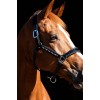 HB Showtime Leader Halter Rivet Swarovski
