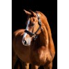 HB Showtime Leader Halter Rivet Swarovski