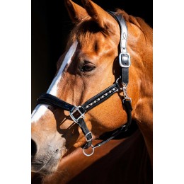 HB Showtime Leader недоуздок Rivet Swarovski