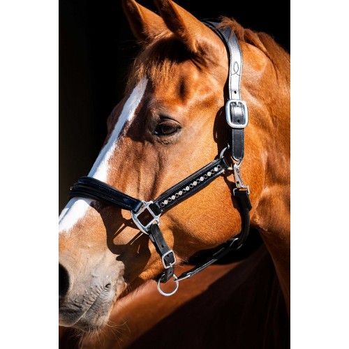 HB Showtime Leader Halter Rivet Swarovski
