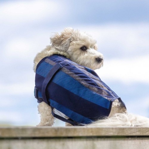 Back on Track Cooling Dog Blanket 2.0
